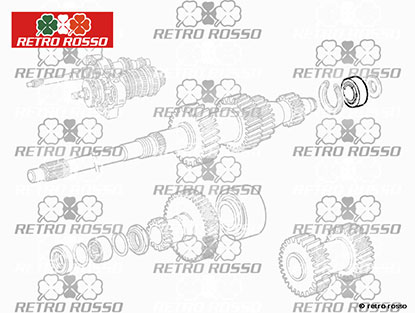 Roulement diff. + arbre primaire 75 / GTV6 / ES30 SZ/RZ